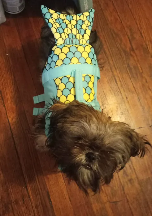 MacKenzie Pointe Animal Hospital Picture 7