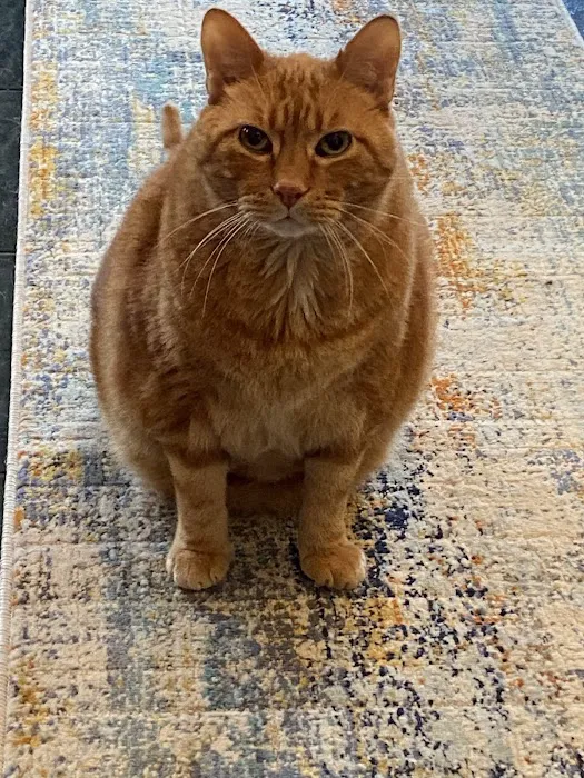 MacKenzie Pointe Animal Hospital Picture 6