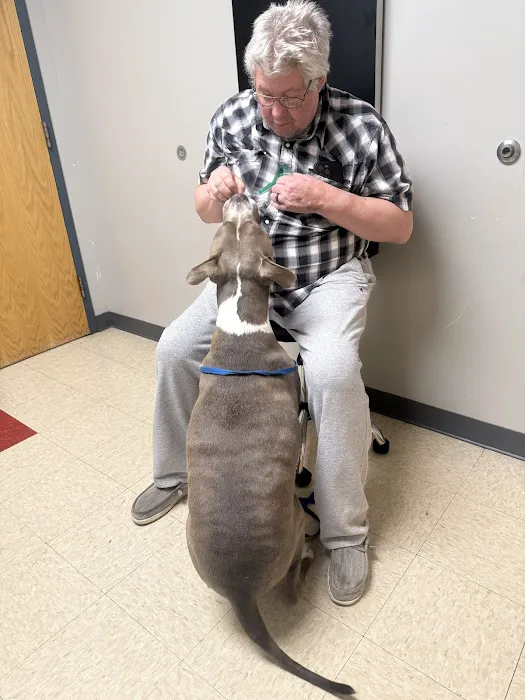 Webster Groves Animal Wellness Center Picture 10