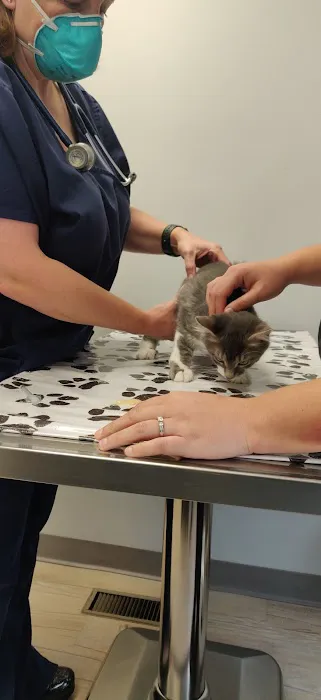 Webster Groves Animal Wellness Center Picture 9