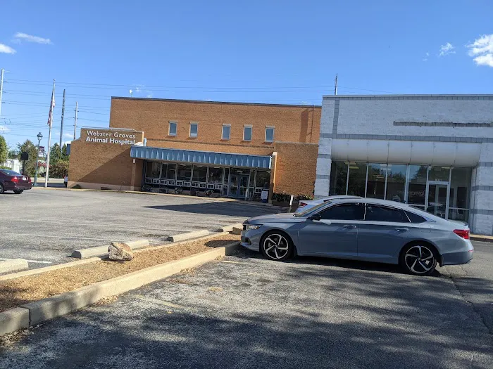 Webster Groves Animal Hospital: Jones Christen DVM Picture 1