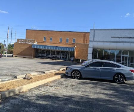 Webster Groves Animal Hospital: Jones Christen DVM