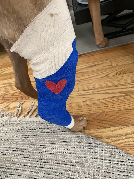 West Side Animal Clinic Picture 2