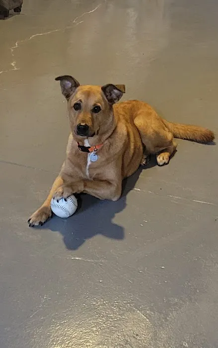 West Side Animal Clinic Picture 3