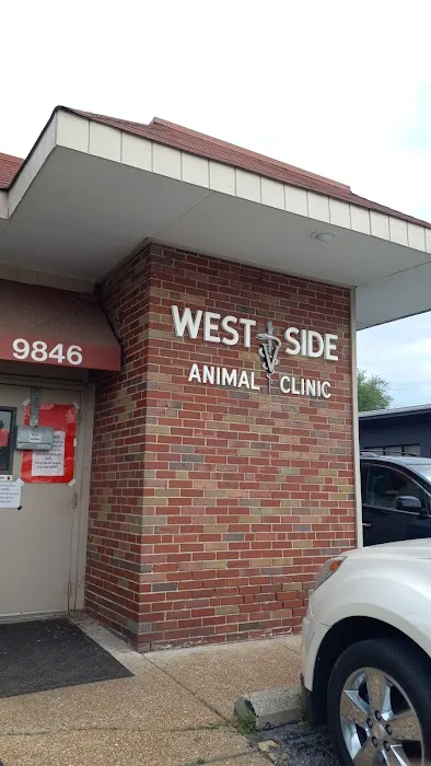 West Side Animal Clinic Picture 4