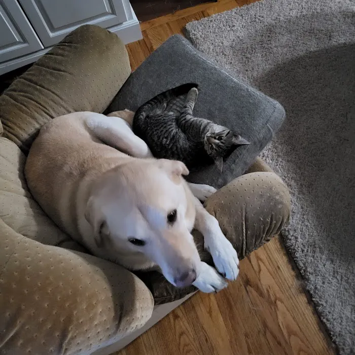 West Side Animal Clinic Picture 6