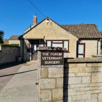 Forum Veterinary Clinic ico