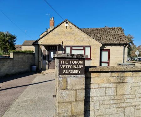 Forum Veterinary Clinic