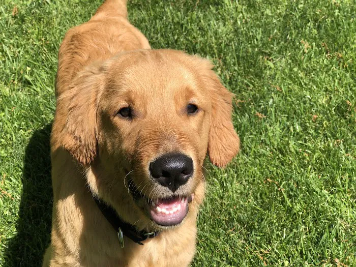 Forum Veterinary Clinic Picture 2