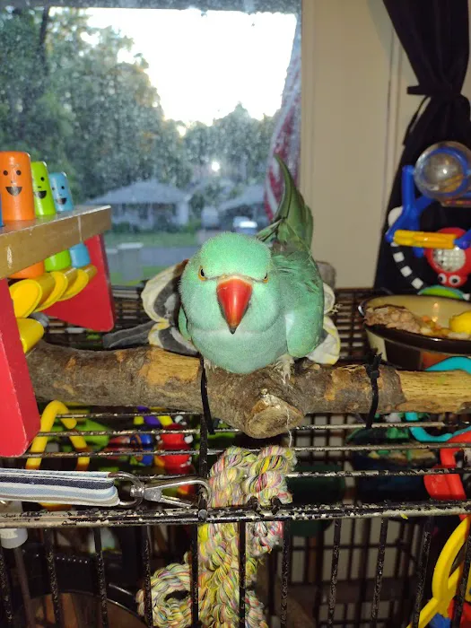 Kersting Veterinary Hospital and Bird Medicine and Surgery Picture 2