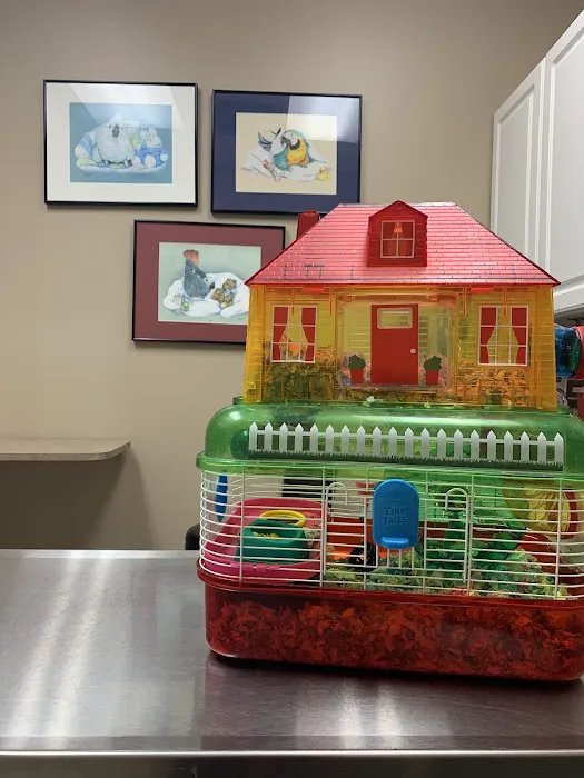 Kersting Veterinary Hospital and Bird Medicine and Surgery Picture 8