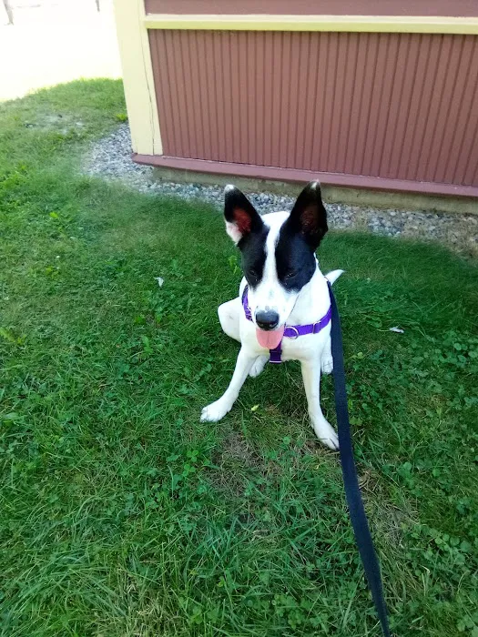 Kersting Veterinary Hospital and Bird Medicine and Surgery Picture 10