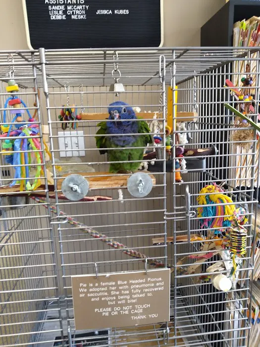 Bird Medicine & Surgery Picture 1