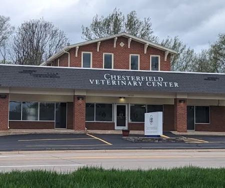 Chesterfield Veterinary Center: Astorino Mary E DVM