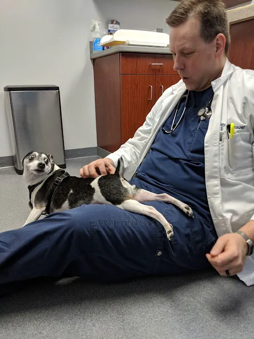 Chesterfield Veterinary Center Picture 2