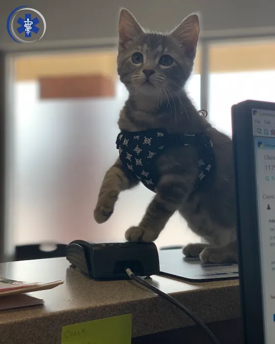 Chesterfield Veterinary Center Picture 3