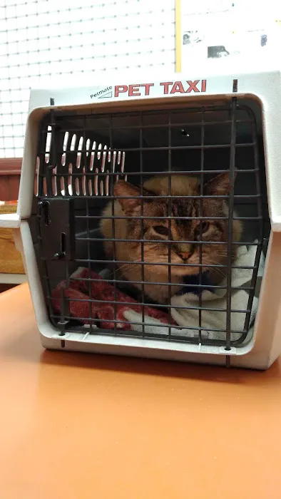 Hepler Animal Hospital Picture 2