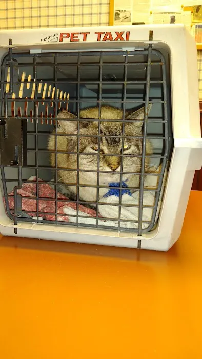 Hepler Animal Hospital Picture 3