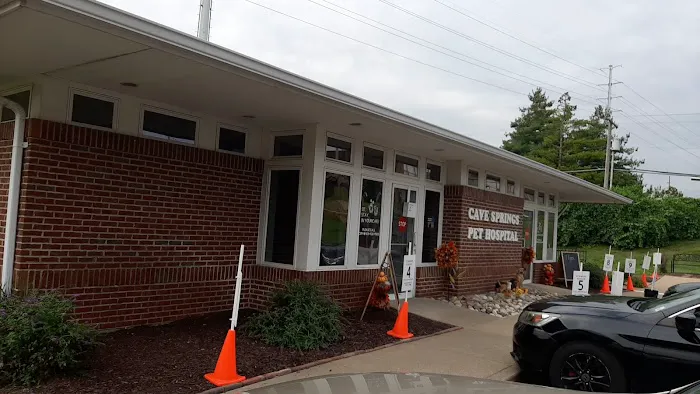 Cave Springs Pet Hospital Picture 1