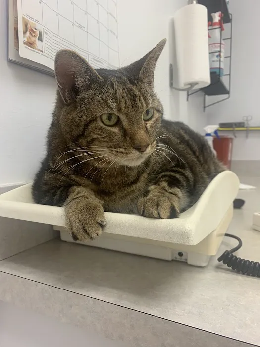 Cave Springs Pet Hospital Picture 4