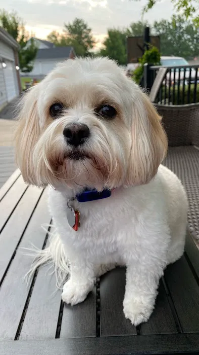 Cave Springs Pet Hospital Picture 5