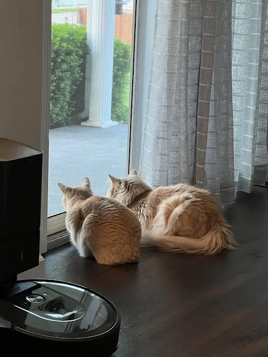 Cave Springs Pet Hospital Picture 6