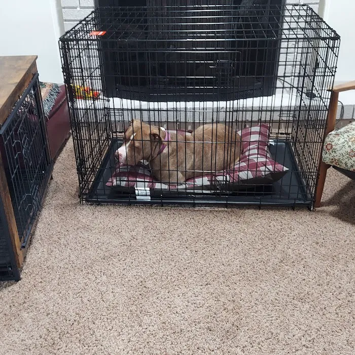 Cave Springs Pet Hospital Picture 10