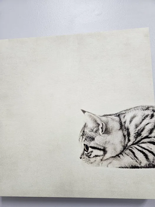 Cave Springs Pet Hospital Picture 9