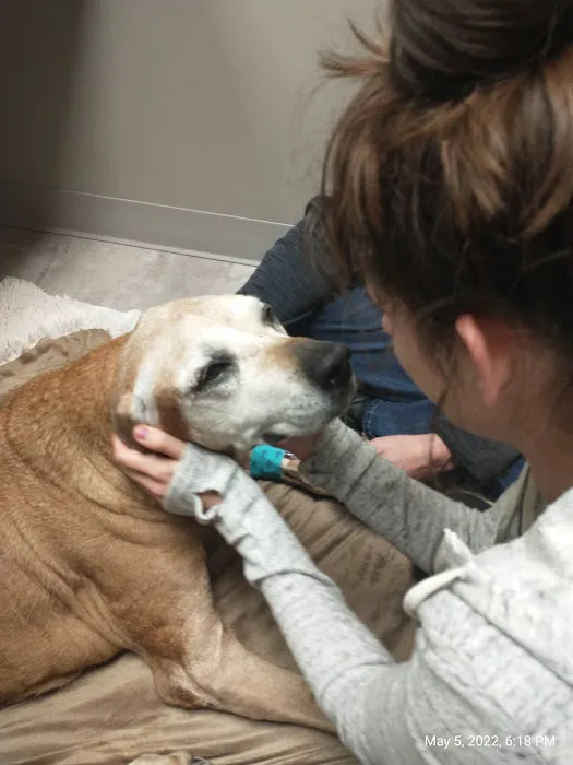 Spencer Creek Animal Hospital Picture 4