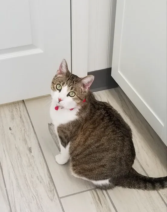 Spencer Creek Animal Hospital Picture 2