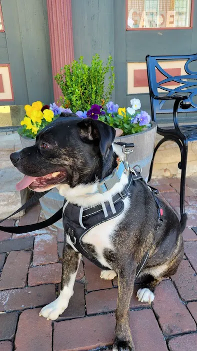 Spencer Creek Animal Hospital Picture 1