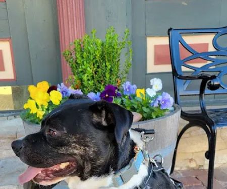 Spencer Creek Animal Hospital