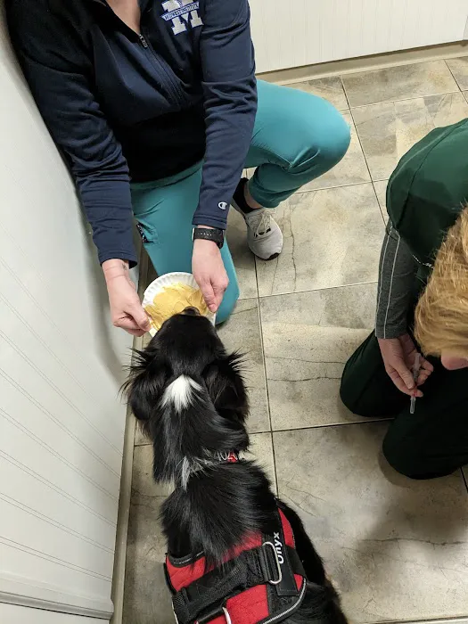 Spencer Creek Animal Hospital Picture 5