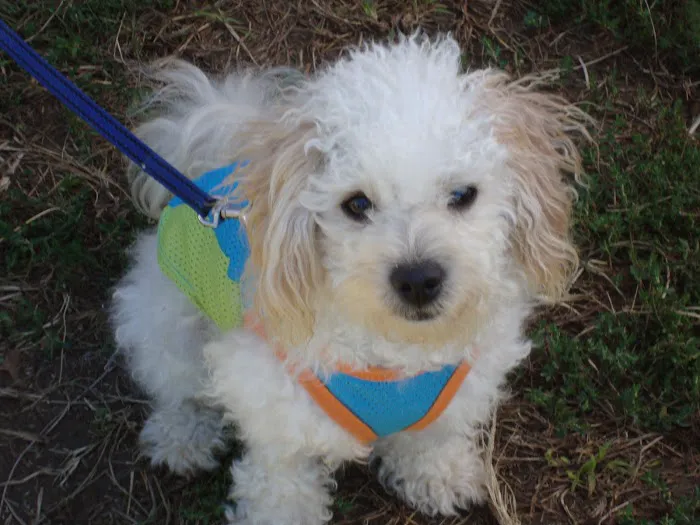 Spencer Creek Animal Hospital Picture 8