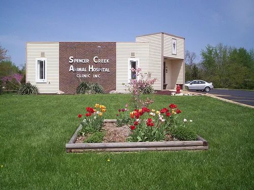 Spencer Creek Animal Hospital Picture 9