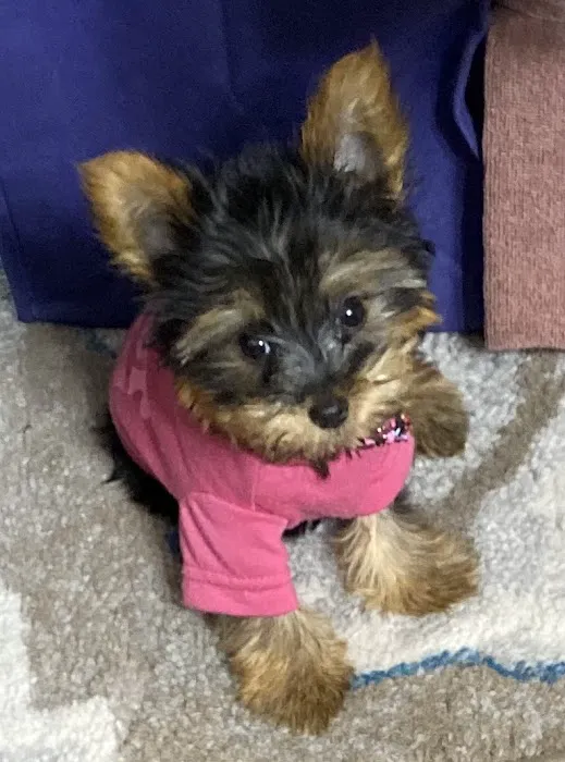 Spencer Creek Animal Hospital Picture 6