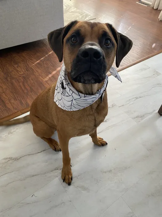 Harvester Animal Clinic Picture 2