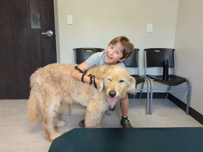 Harvester Animal Clinic Picture 1