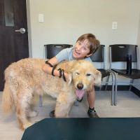 Harvester Animal Clinic ico