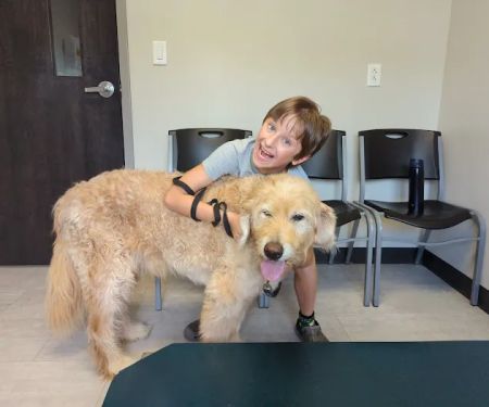 Harvester Animal Clinic