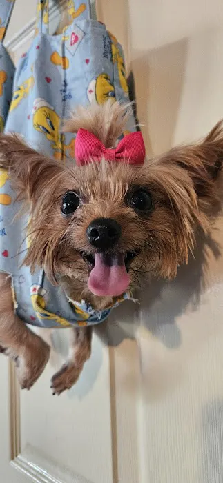 Harvester Animal Clinic Picture 3