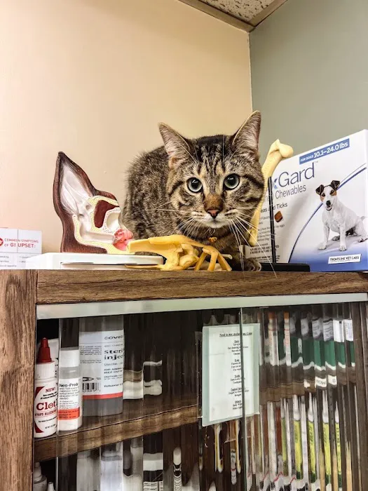 Harvester Animal Clinic Picture 8