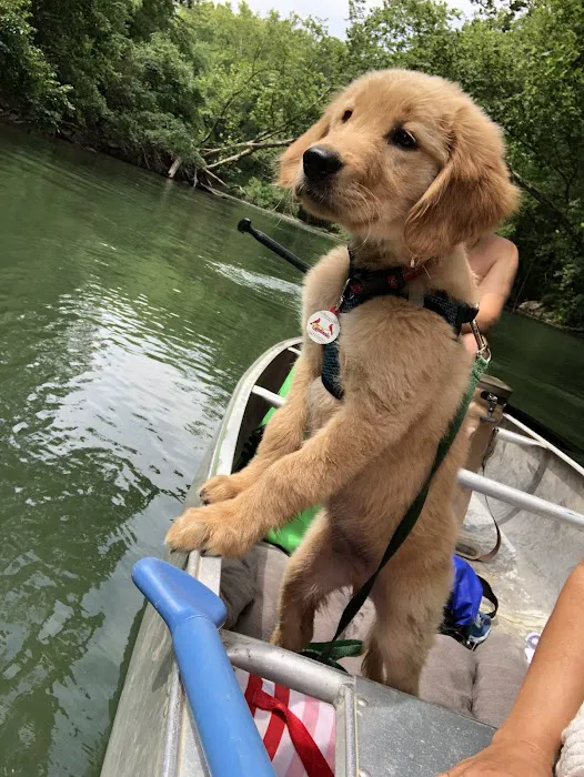 Harvester Animal Clinic Picture 9