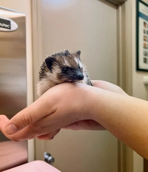 Harvester Animal Clinic Picture 7