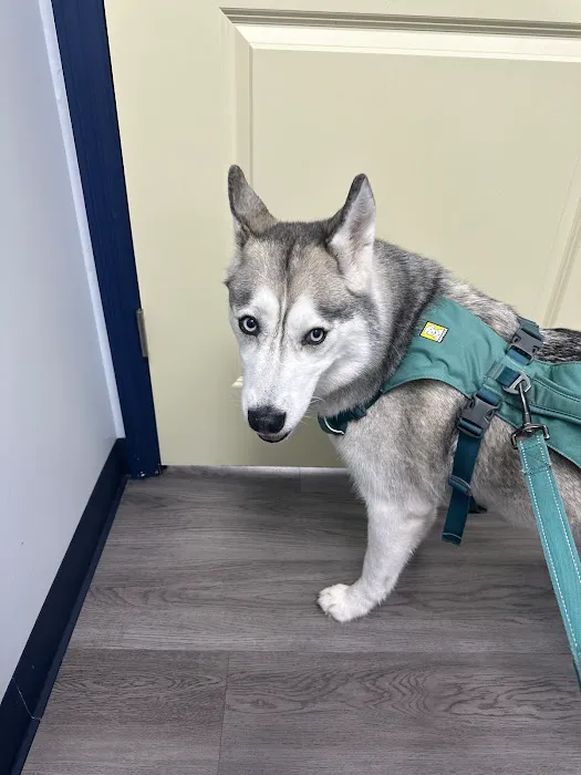 Pet Urgent Care of St Peters Picture 4