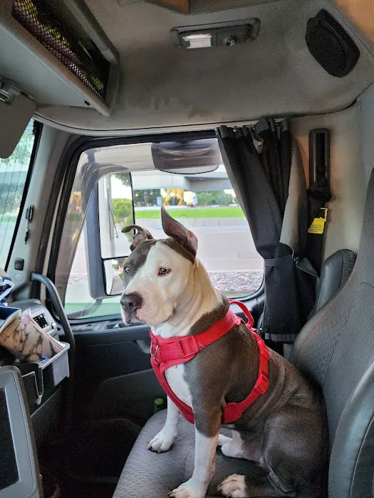 Pet Urgent Care of St Peters Picture 7