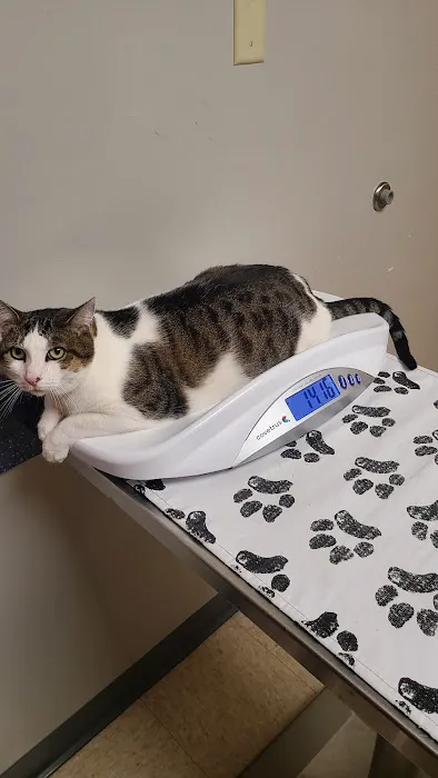 Webster Groves Animal Hospital: Kaufman Kathryn DVM Picture 1