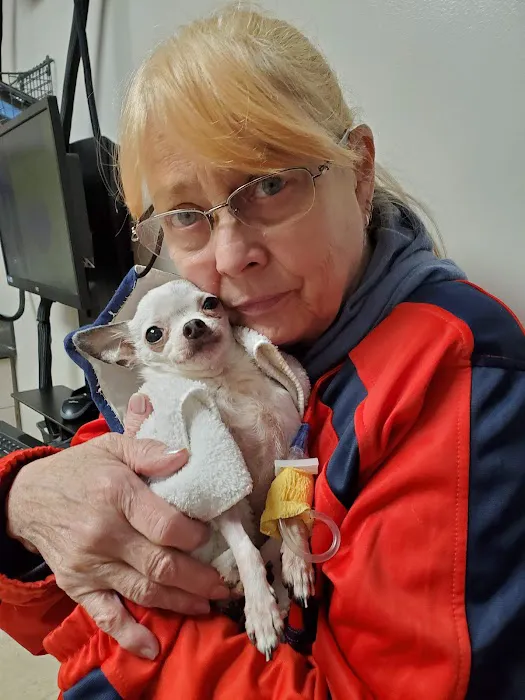 Webster Groves Animal Hospital: Kaufman Kathryn DVM Picture 3