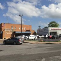 Webster Groves Animal Hospital and Urgent Center ico