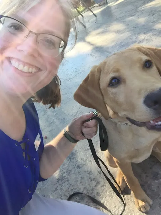 Paws at Home Picture 1